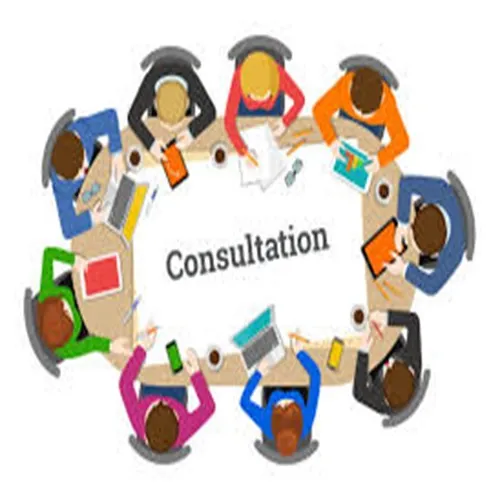 Business consulting 2