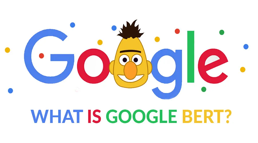 bert algorithm