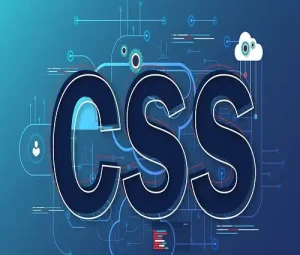 انواع CSS
