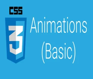 Animation in css