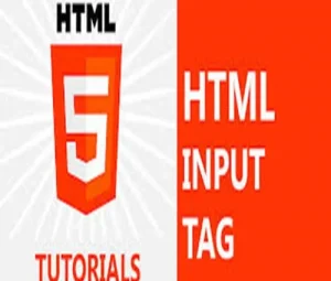 Input in html..