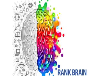 Rank-Brain20