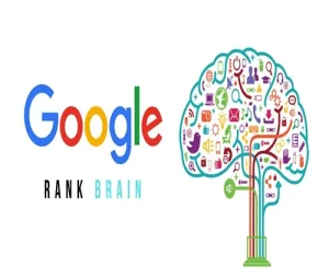الگوریتم رنک برین