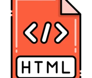 Tag field set in html.