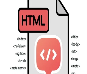 Tag field set in html