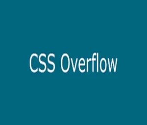 معنی overflow