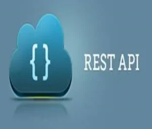 What is rest api