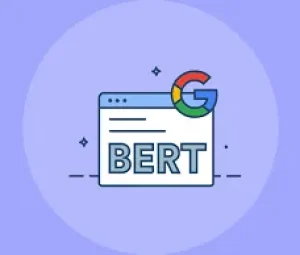 bert-google algorithm