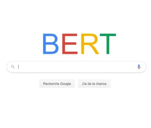 bert-google