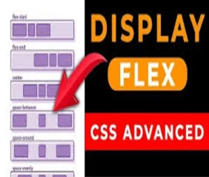 display flex در css
