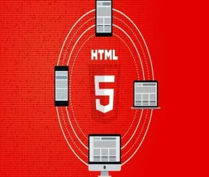 section tag