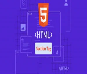 section tag..