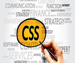 types of css copy