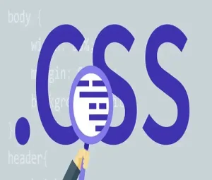 انواع CSS