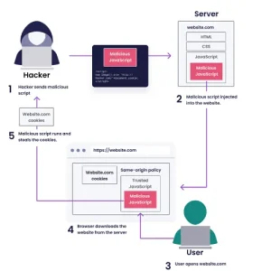 what is XSS