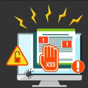 what is XSS